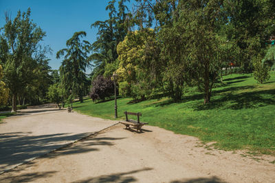 Dirt pathway with benches among trees and lush vegetation on a leafy garden, in madrid, spain.