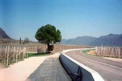 Road in italy with mountains and tree