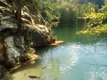 Scenic view of lake