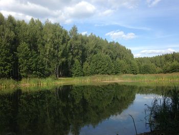 Scenic view of lake in forest against sky