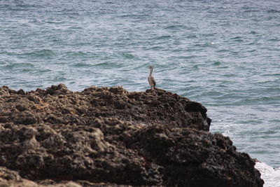 Man standing on rock by sea