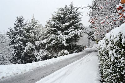 Snow covered field in winter