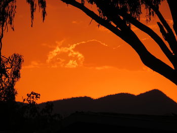 Silhouette trees against dramatic sky during sunset