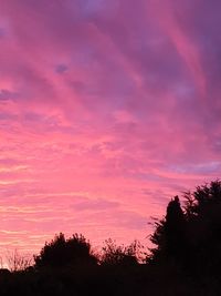 Low angle view of silhouette trees against dramatic sky