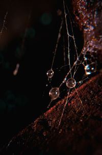 Close-up of water drops on rock