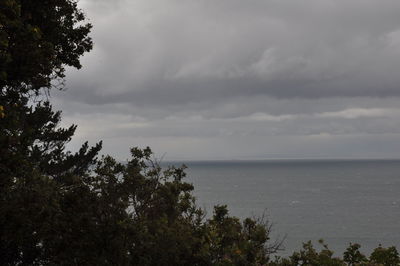 Scenic view of sea and trees against sky