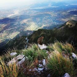 Scenic view of mountains