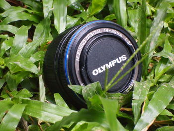 Close-up of camera on plant