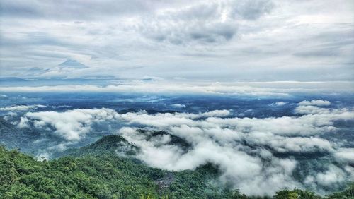 Wonderful atmosphere of fog from the top of the hill