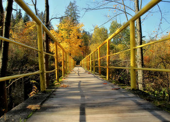 Footbridge amidst trees in forest against sky