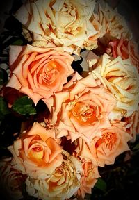 Close-up of rose bouquet