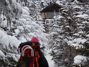 Man standing on snow covered trees