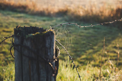 Close-up of barbed wire fence on field