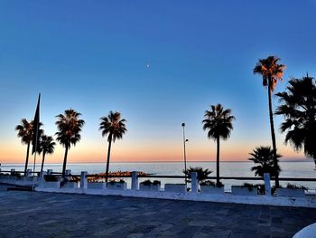 Palm trees by swimming pool against sky during sunset