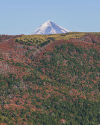 Scenic view of mountain against clear sky