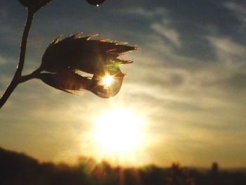 Close-up of sun shining through clouds