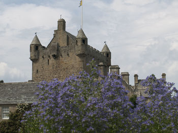 Low angle view of purple flowering plant against building