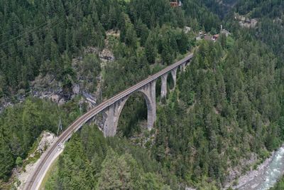 High angle view of bridge against trees