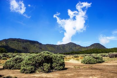 Scenic view of landscape against sky