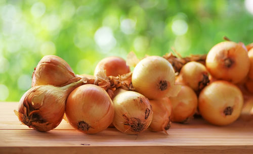 Close-up of onions on table