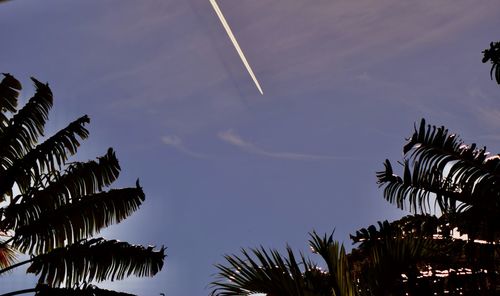 Low angle view of silhouette palm trees against sky