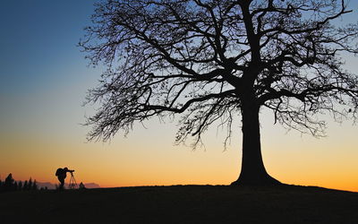 Silhouette man standing by tree against sky during sunset