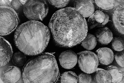 Stack of logs