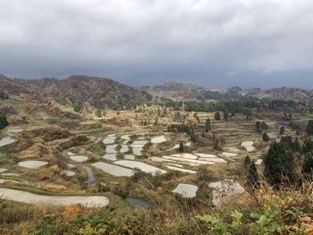 Scenic view of field against sky
