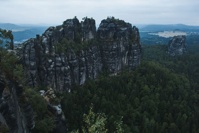 Panoramic view of trees on landscape