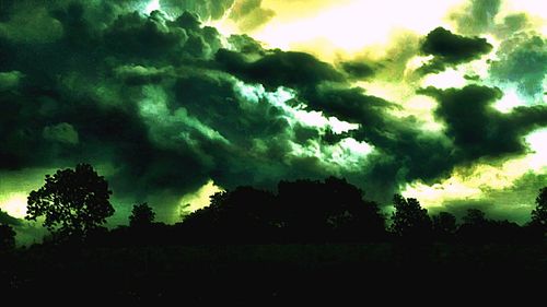 Low angle view of trees against sky