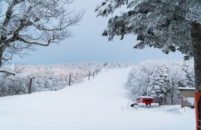 Snow covered land and trees against sky