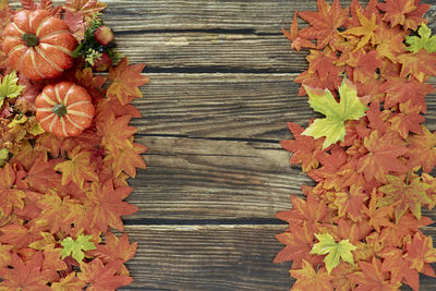 High angle view of maple leaves on wood