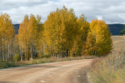 Road amidst trees against sky during autumn