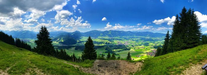 Panoramic view of trees on landscape against sky