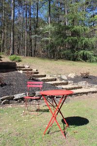 Table and chairs in forest