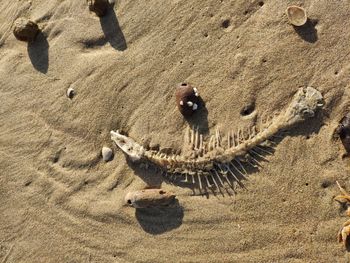 High angle view of shadow on sand