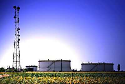 Plants growing on field against clear blue sky