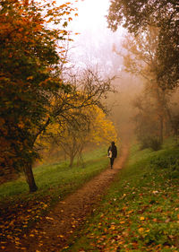 Rear view of people walking on road