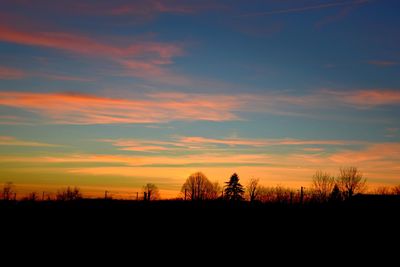 Silhouette of trees at sunset