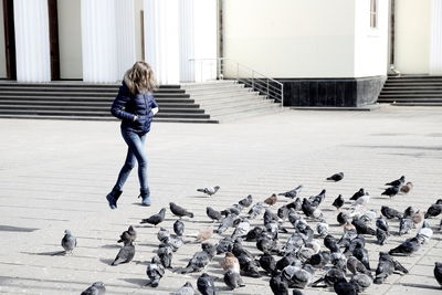 Full length of woman by pigeons on street