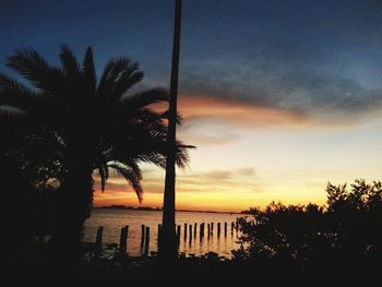 Silhouette palm trees on beach against sky at sunset