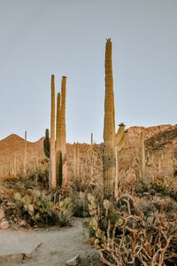 Scenic view of rock formations