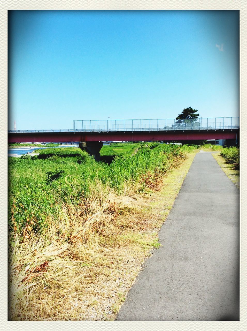 transfer print, clear sky, auto post production filter, blue, copy space, grass, the way forward, built structure, field, sky, plant, tranquility, nature, sunlight, day, architecture, building exterior, outdoors, tranquil scene, road