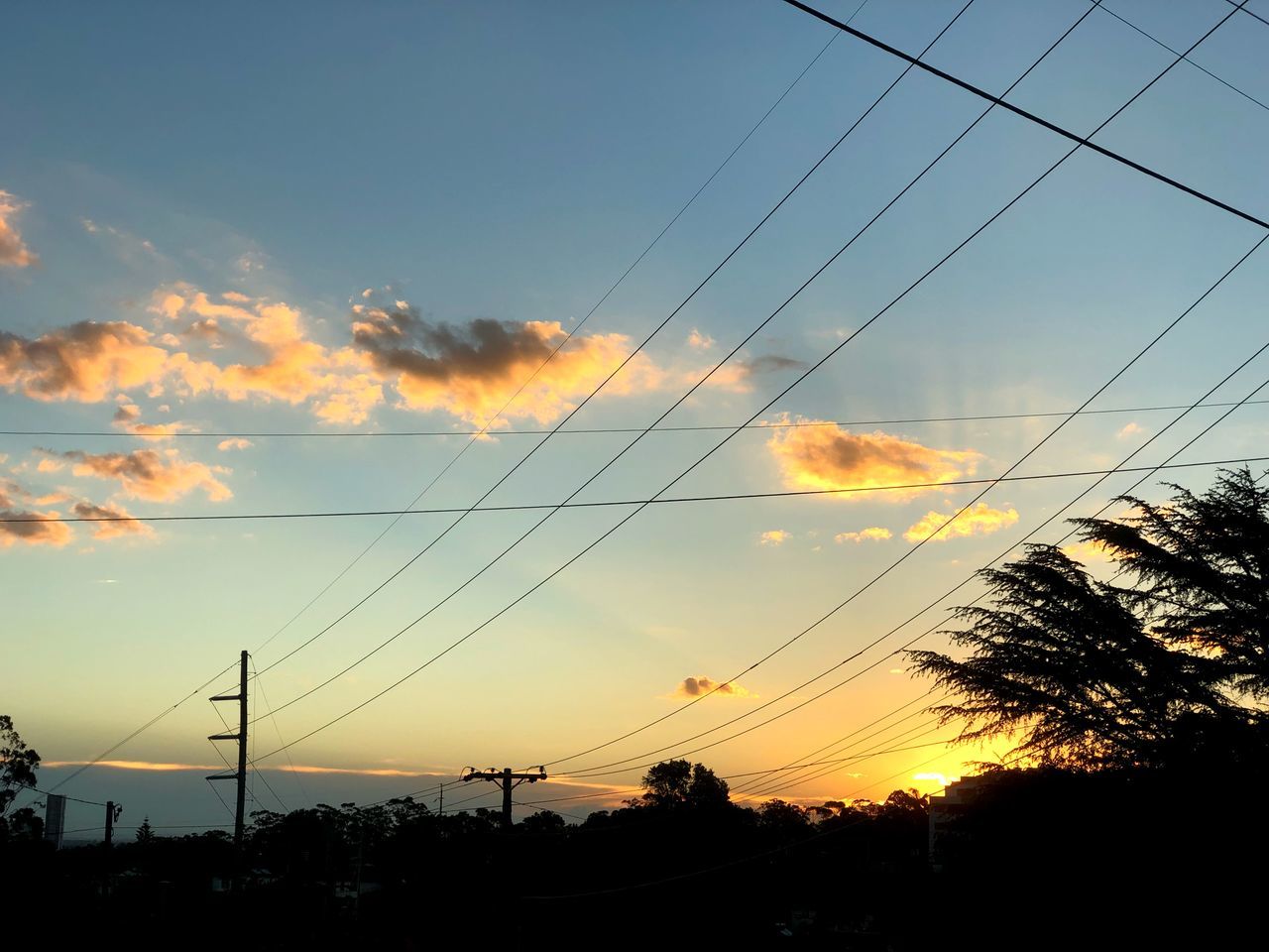 SILHOUETTE TREES AND ELECTRICITY PYLON AGAINST SKY AT SUNSET