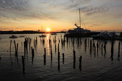 Sailboats in marina at sunset