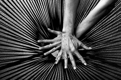 Close-up of hand touching leaf