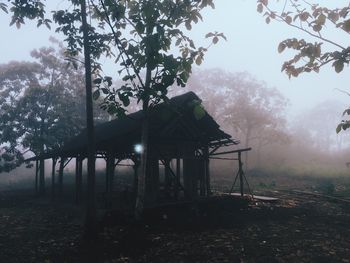 Built structure in forest against sky