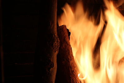 Close-up of burning firewood