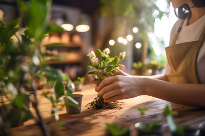 Midsection of woman holding potted plant