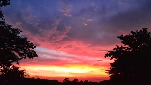 Low angle view of silhouette trees against dramatic sky